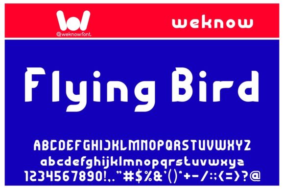 Flying Bird: The Display Font That Makes Brands Soar
